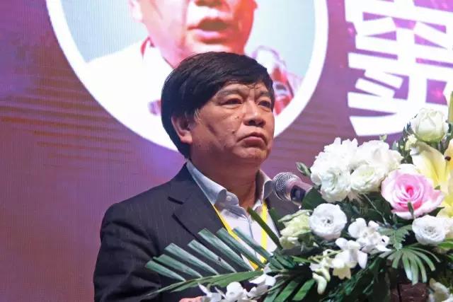 中国照明学(xue)会秘书长窦林平.jpg